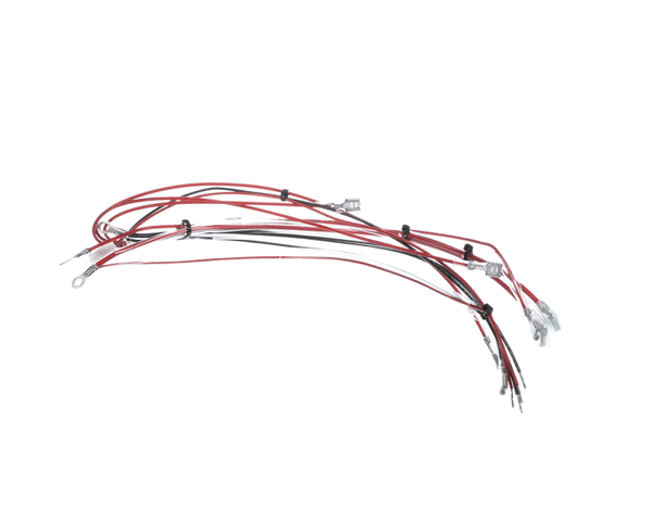 Bunn 55226.0003 Wiring Harn, Main Fast Cup Retrofit (BU55226-0003)