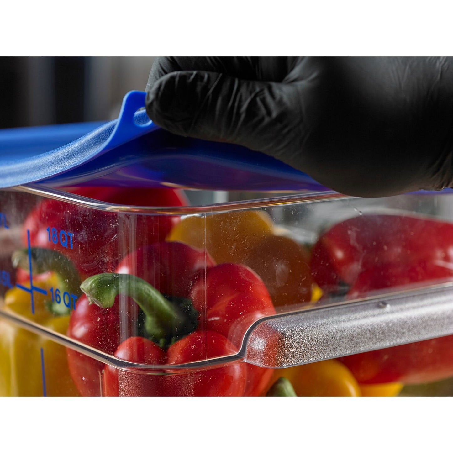 Carlisle Squares Food Storage Container Lid, 11.38 x 11.38 x 0.63, Blue, Plastic (CFS1197260)