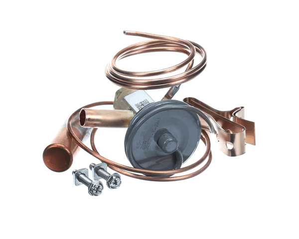 ClimateMaster 33B0043N03 Txv Bbize 2Ga Bp15 30Cap (CLMM33B0043N03)