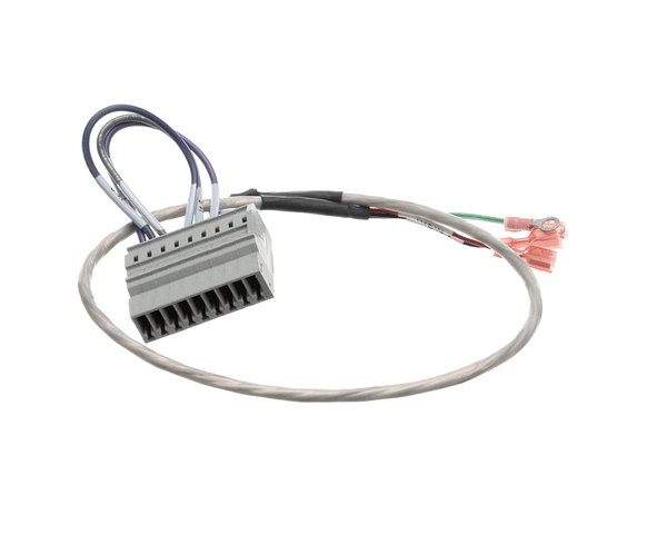 Convotherm 300772 Cable Assembly,3Ph Motor, Ms6.10 (COV300772)