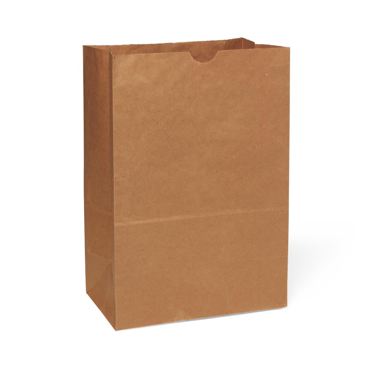 brown-paper-bag-1-6bbl-12-x-7-x-17-500-pk-nonbpb16bbl_1