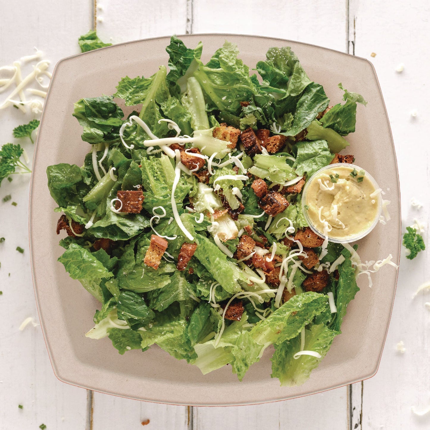 Dart Compostable Fiber Dinnerware, ProPlanet Seal, Plate, 10 x 10, Tan, 125/Pack (DCC10PSC1PFPK)