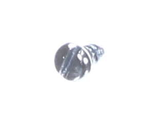 Ditting USA 250915 Screw Self Tapping (DIG250915)