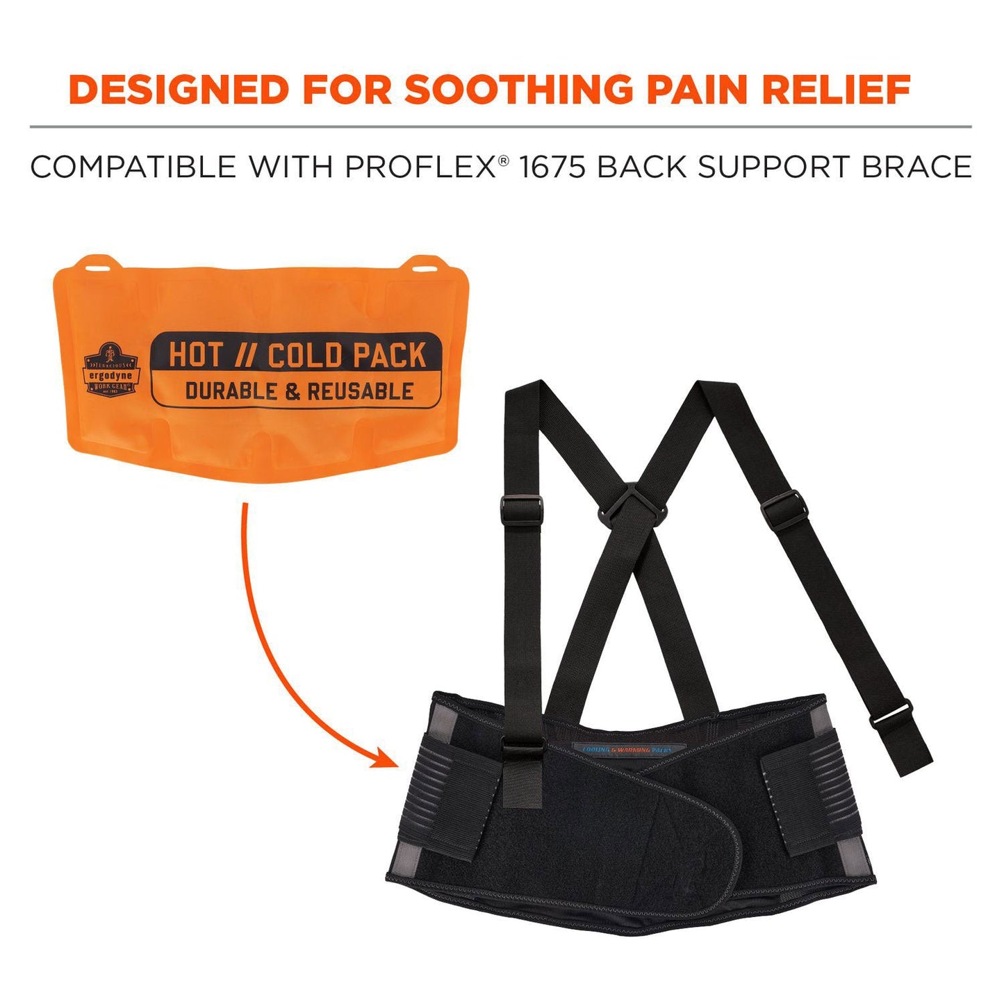 Ergodyne ProFlex 6275 Reusable Hot/Cold Pack Replacement, 13 x 6.7, 2/Pack (EGO12212)