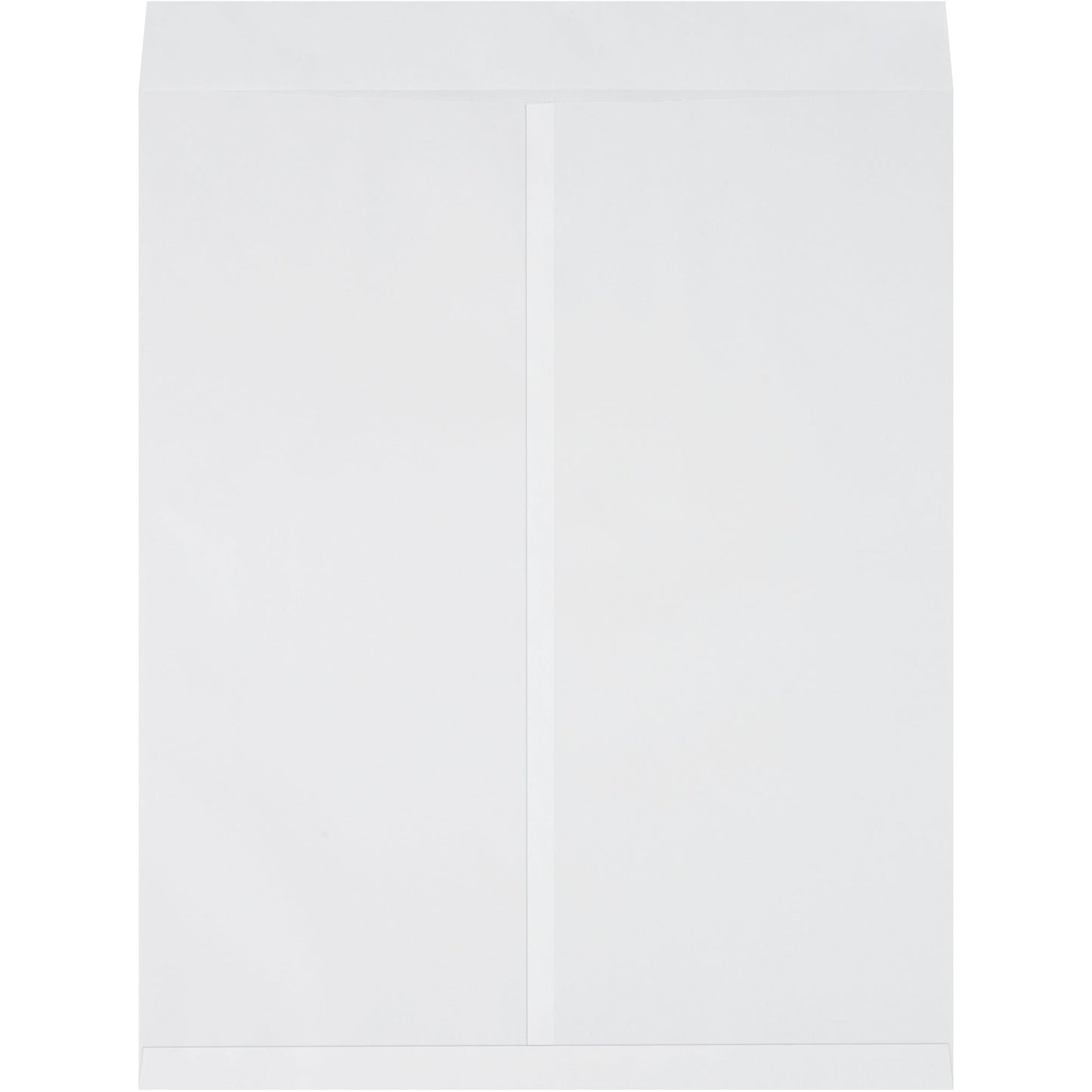 22-x-27-white-jumbo-envelopes-en1086w_1