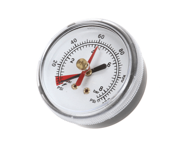 Everpure Ev306818 Back Mnt Brass Gauge 0-125 Psi (EVEEV306818)