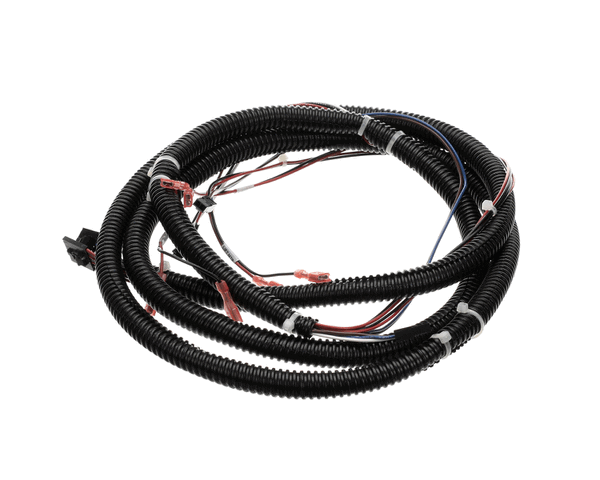 Franke Foodservice System 19002729 Cable Assembly, Motor Harness F3D3 (FFS19002729)