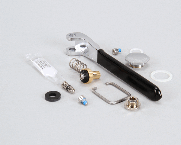 Fisher 11355 Repair Kit Spray Valve Brs (FIS11355)