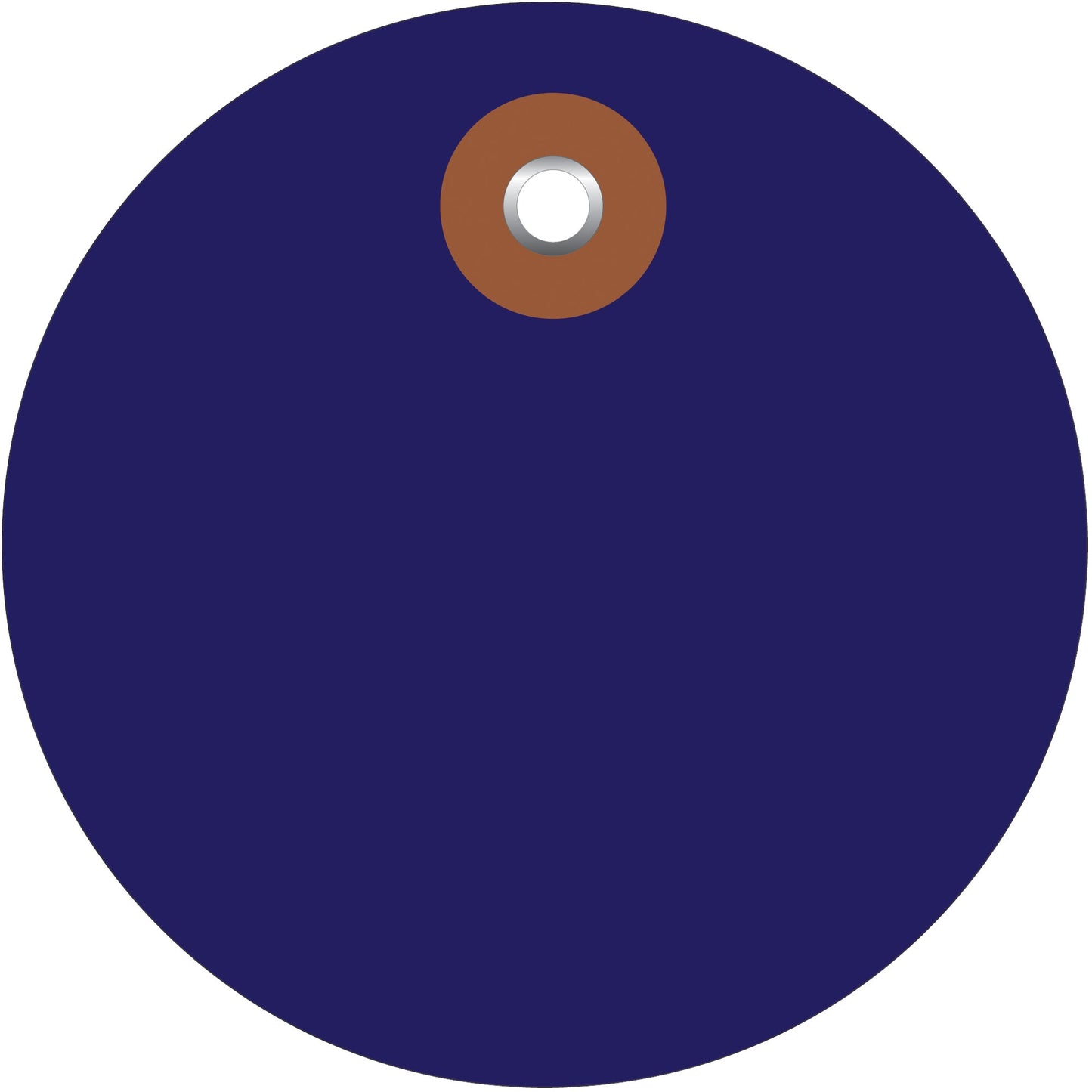 2-blue-plastic-circle-tags-g26069_1