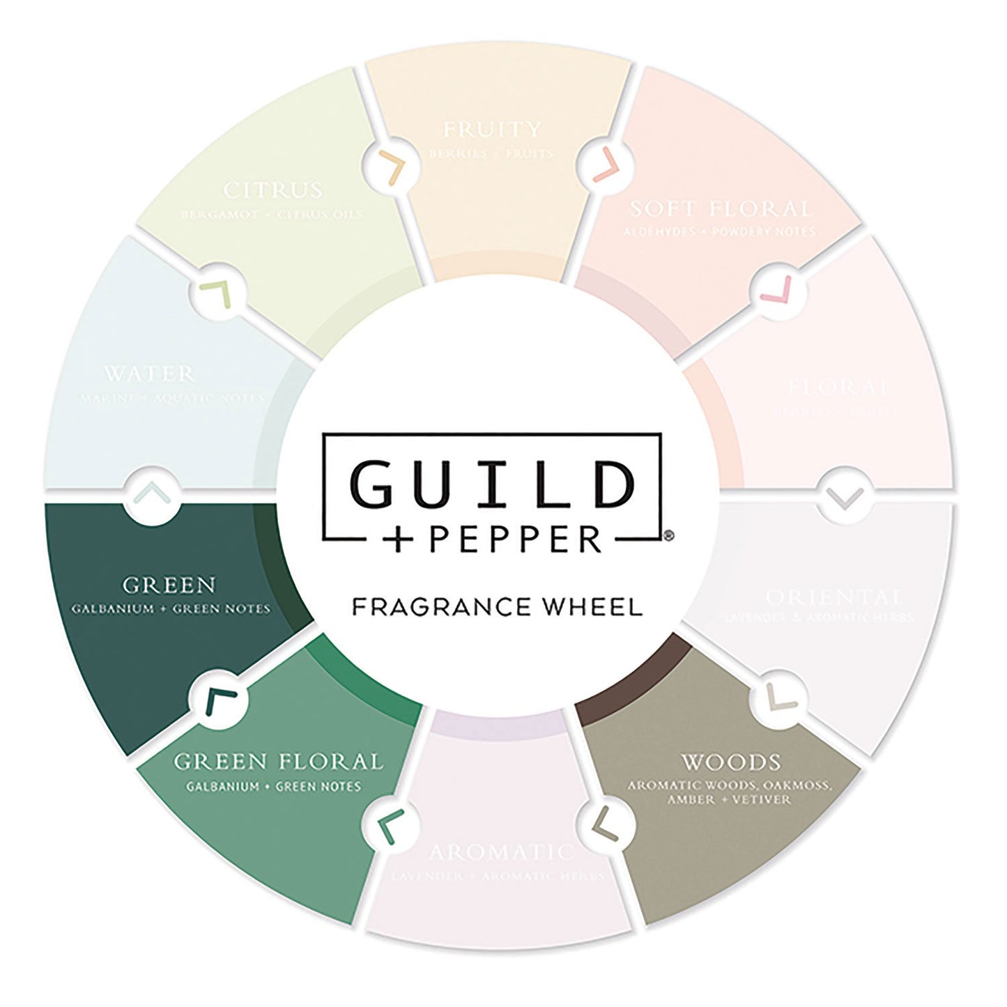 Guild+Pepper Lotion, Warm Oak, 12.2 oz Bottle, 12/Carton (GIS100305)