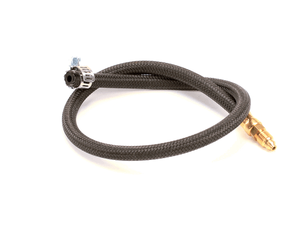 Globe X00703 Hose Assembly (GLOX00703)