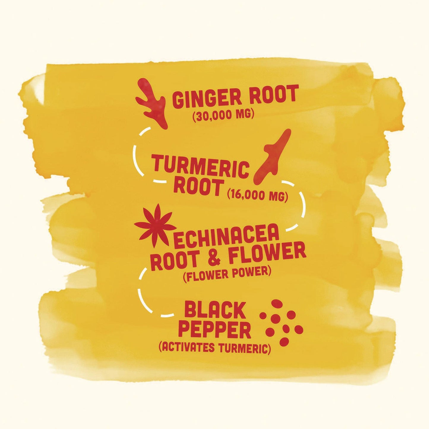 Vive Organic Immunity Boost, Ginger, 2 oz Bottle,12/Carton (GRR34800001)