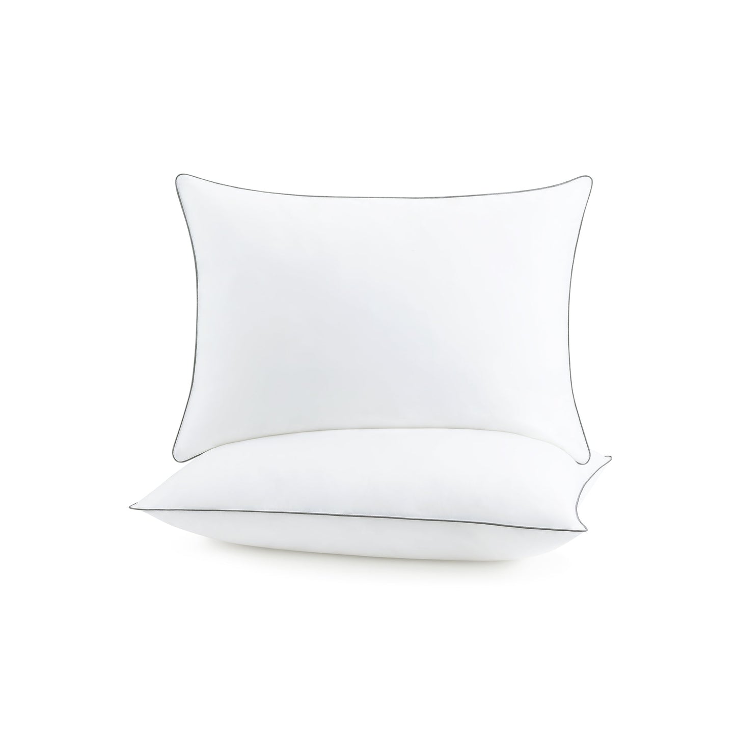 Arkwright Home Host & Home 2 Pack Bed Pillow Queen 20x30 (P-HH-2PK-PIL-QN)