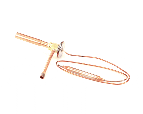 Hoshizaki P00826-01 P00826-01 Exp. Valve (HOSP00826-01)