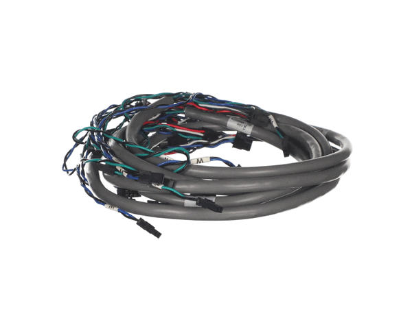 Cornelius 620058991-100 Harness Mfv Water 4 Valve 30In (ICO2595114)