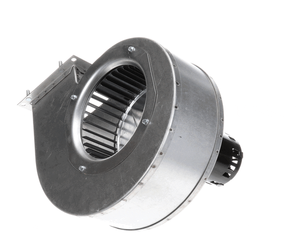 Lochinvar 100233485 K,Fan,115V/60Hz,Cfii/Ie/Iie (LOC100233485)