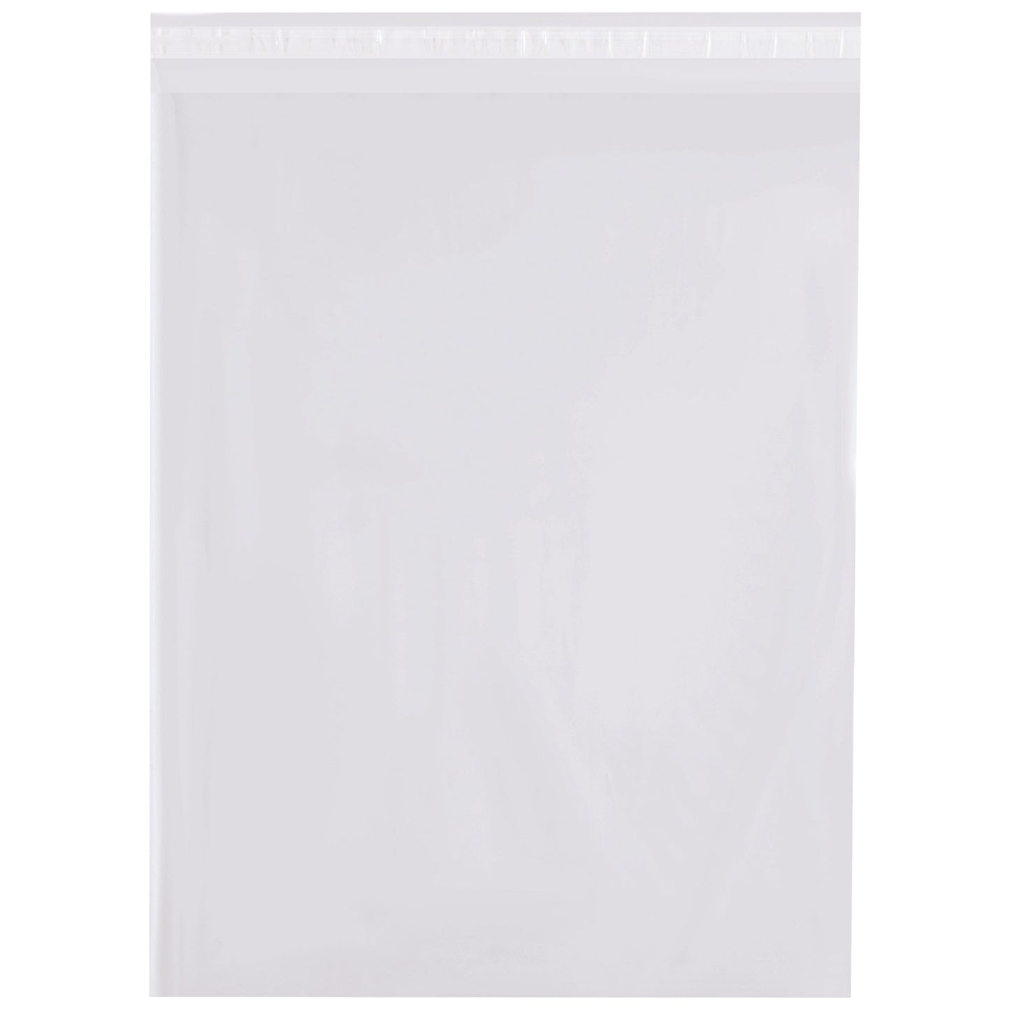12-x-18-4-mil-resealable-poly-bags-prr121804_1