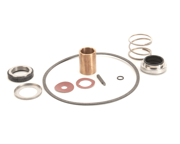 Power Soak Systems Inc 22462 Pump Seal Kit - Burks ( I ) (PWSK22462)