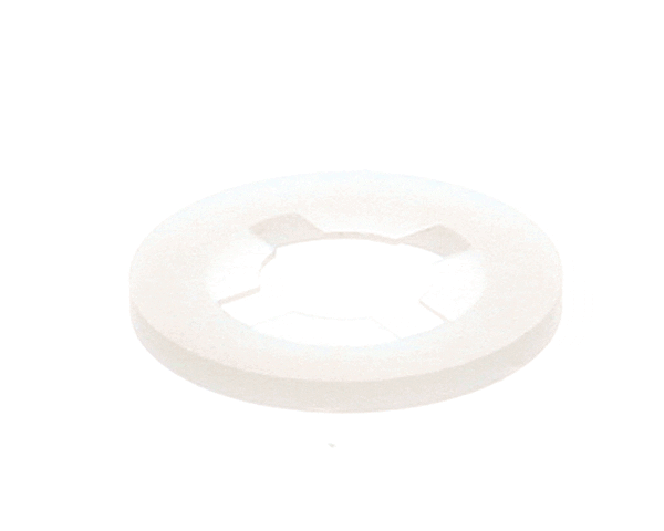 Power Soak Systems Inc 29652 Washer Retaining 5/16 Dia X .0 (PWSK29652)
