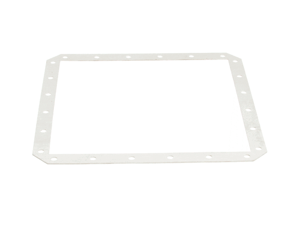 Power Soak Systems Inc 32439 Gasket Motor Plate Swpw (PWSK32439)