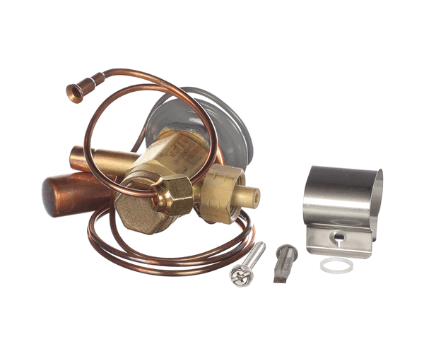 Rheem 61-104031-01 Pro Expansion Valve (RHM61-104031-01)