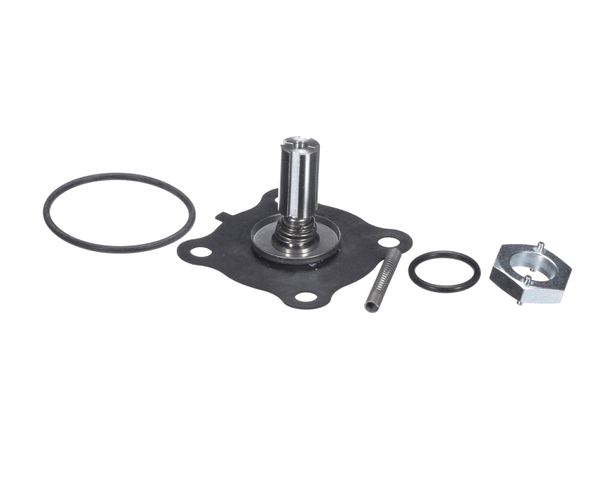 Steamist Rp103050 Repair Kit Steam Solenoid (SMSTRP103050)