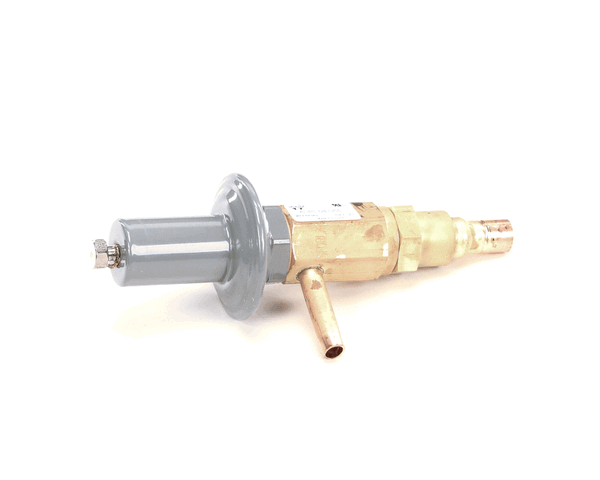 Stoelting 762411 Valve Automatic Expansion (STOE762411)