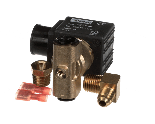 Synesso 1.2442 Valve Replacement Kit Assembly, Hot Wate (SYO1-2442)