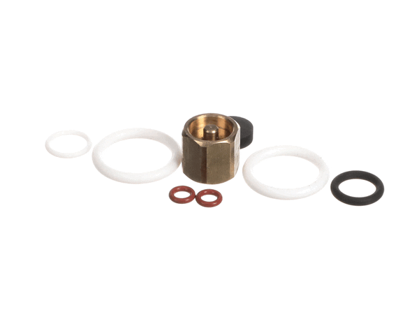 Synesso 1.7320 Rebuild Kit For Steam Valve With Seat Ho (SYO1-7320)