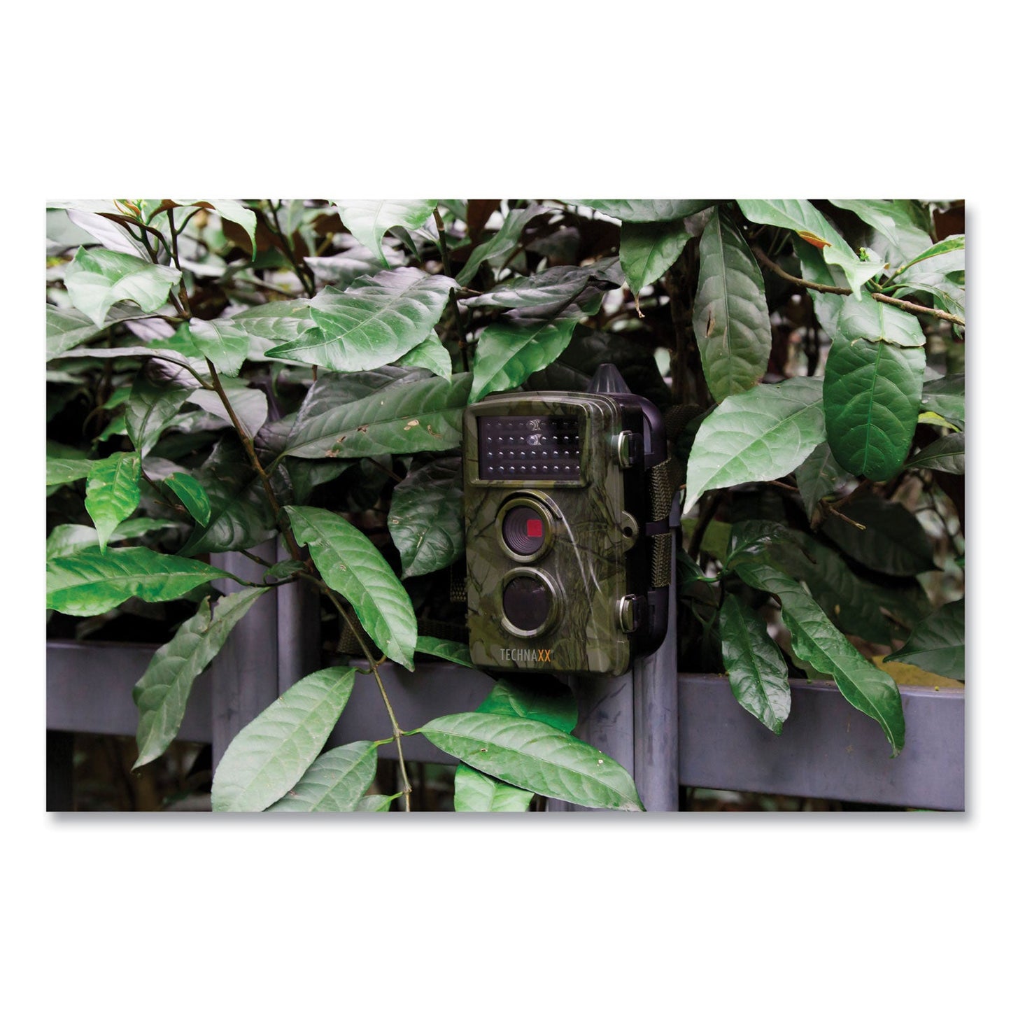TECHNAXX Nature Wild Cam TX-69, 1920 x 1080 Pixels (TAX4719)