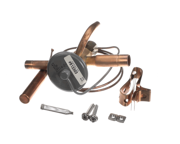 TRUE 813303 Valve Expansion Ebfse-Azp, Inlet Straine (TRUE813303)