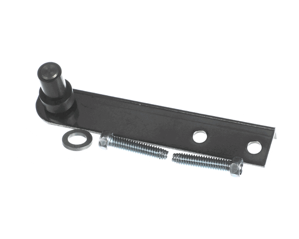 TRUE 870828 Hinge Kit Door Btm Rh Gdm-5 Old Tors. Sp (TRUE870828)