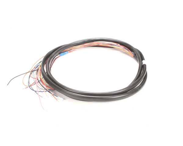 TRUE 971923 Wire Harness, Ups Freezers (TRUE971923)