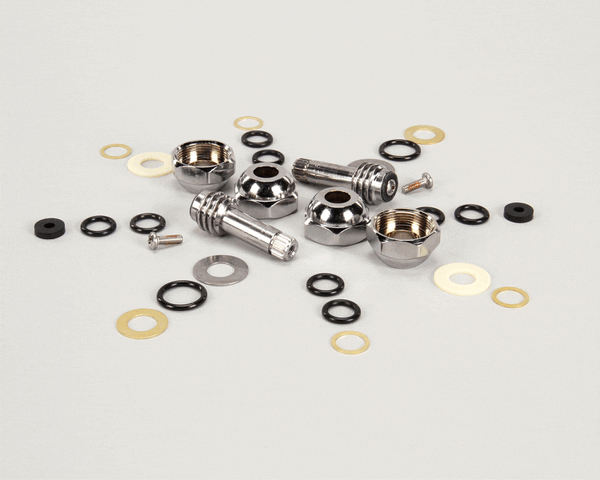 T&S Brass B-20K Parts Kit For Old-Style B-1100 Series (W (TSB-20K)