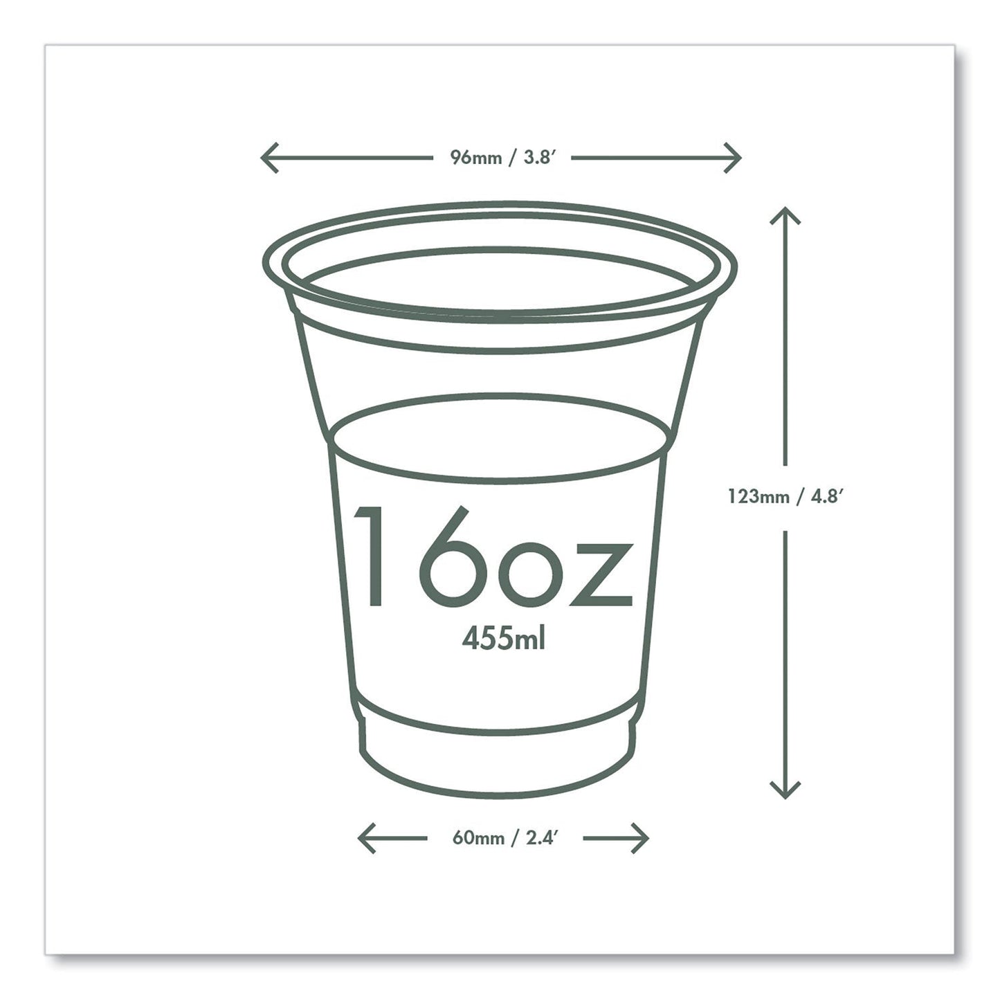 Vegware 96-Series Cold Cup, 16 oz, Clear/Green, 1,000/Carton (VEGR500YG)