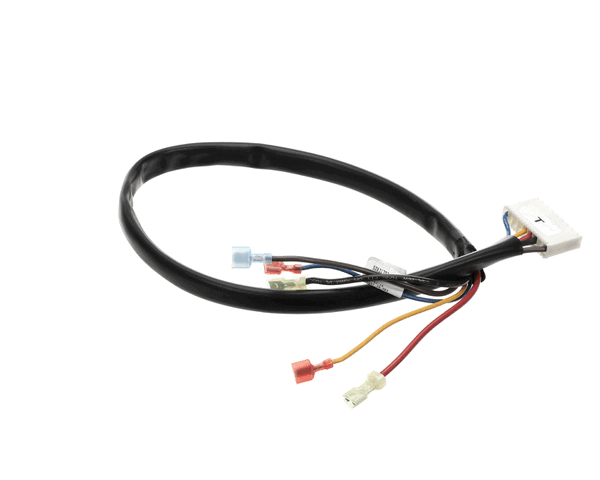Victory 50831702 Wire Harness-Evco Warmer Control (VT50831702)