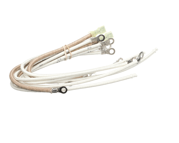 Wells 2E-307324 Harness Heater Wire Set,M4200 (WEL2E-307324)