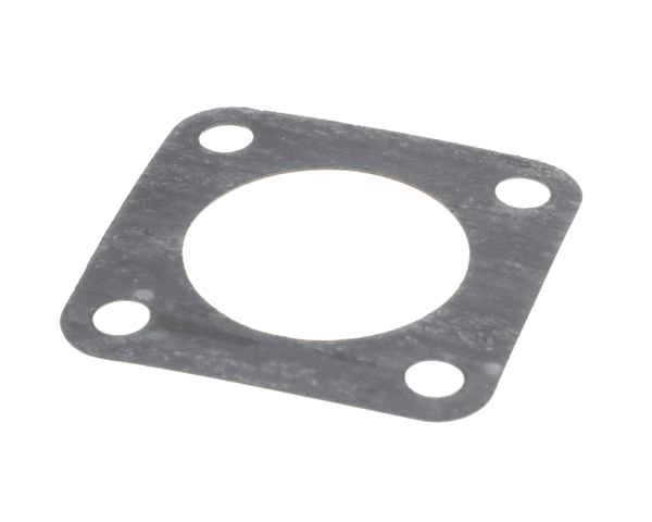 Wells 2I-302448 Gasket, Pump Mounting (WEL2I-302448)