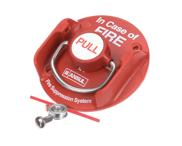 Wells 2O-308131 Remote Pull Station Red (WEL2O-308131)