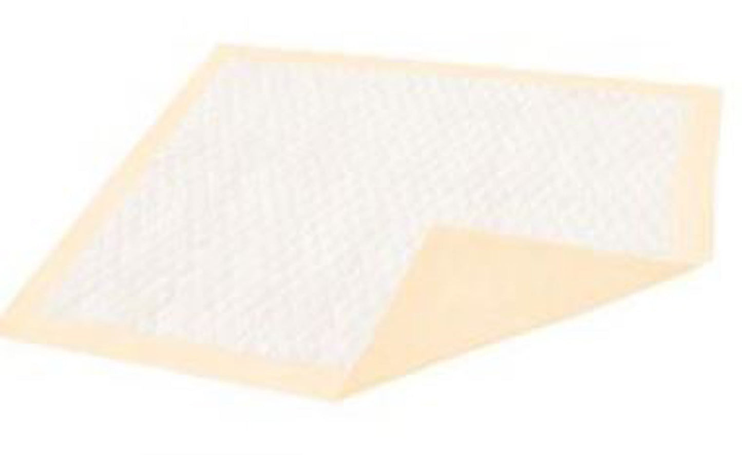 Dignity® Plus Disposable Underpad 30 X 36 Inch Fluff / Polymer Moderate Absorbency (987179_PK)