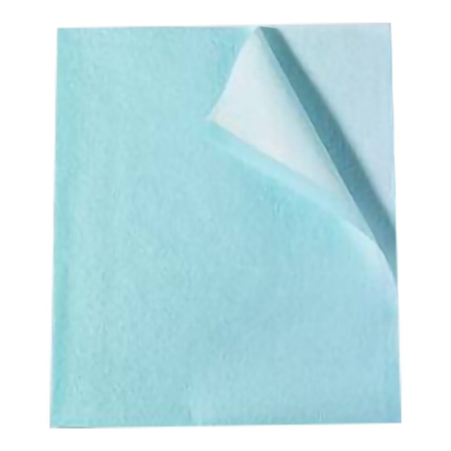 Tidi® Everyday Stretcher Sheet Flat 30 W X 48 L Inch Blue Tissue / Poly / Polyethylene Film Disposable (335859_CS)