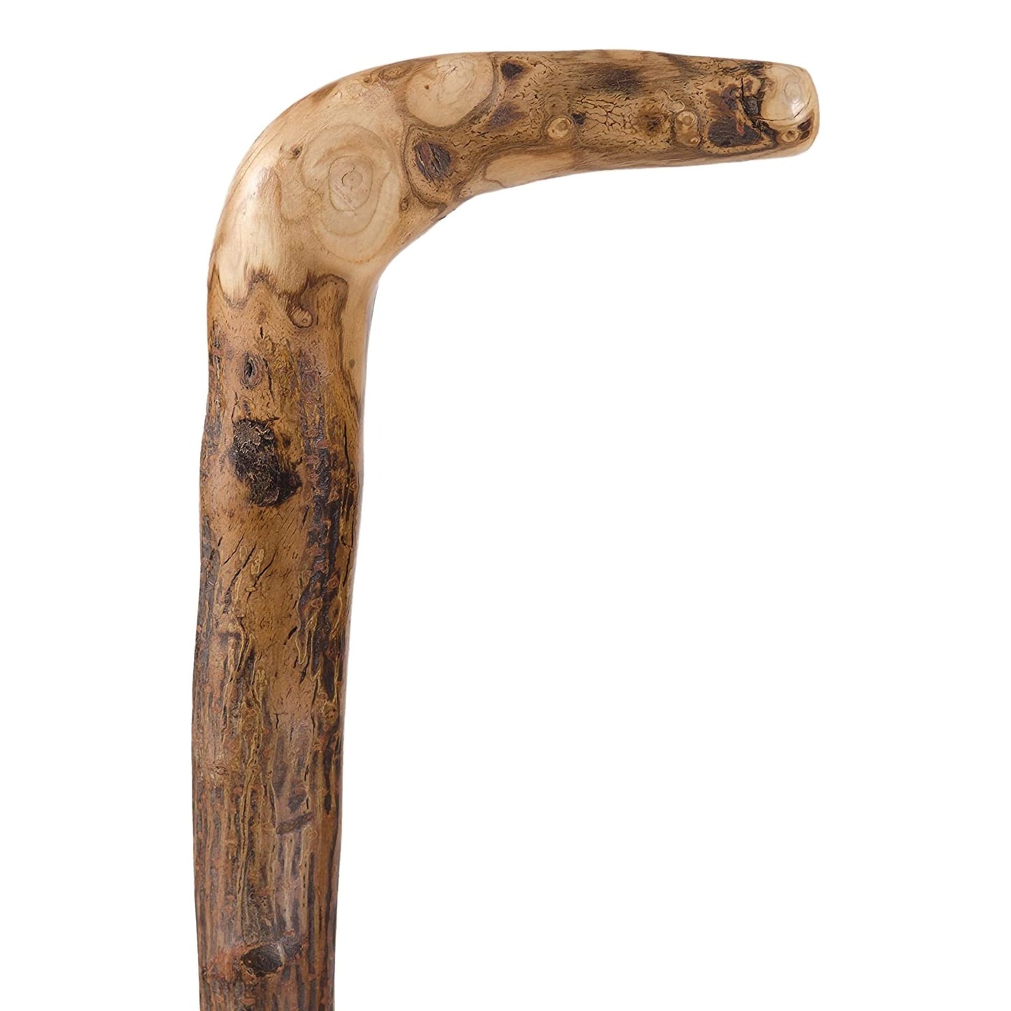Brazos™ Root Walking Stick Wood 40 Inch Height Natural Hardwood (1229009_EA)