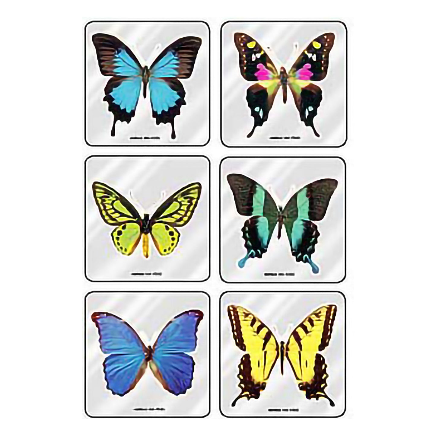 MiniBadges™ 75 per Roll Foil Butterflies Sticker 2-1/2 Inch (863027_RL)