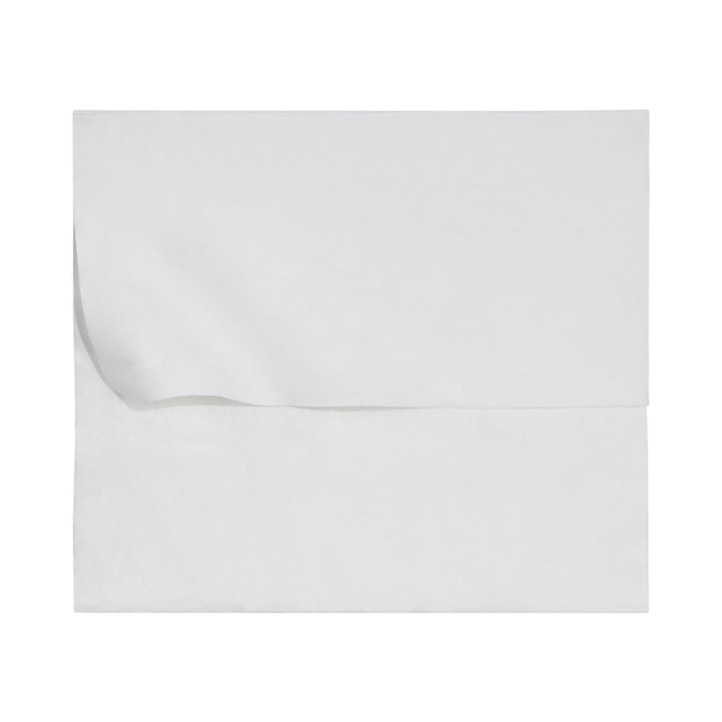 McKesson Flushable Personal Wipe Soft Pack Unscented 48 Count (1241745_PK)