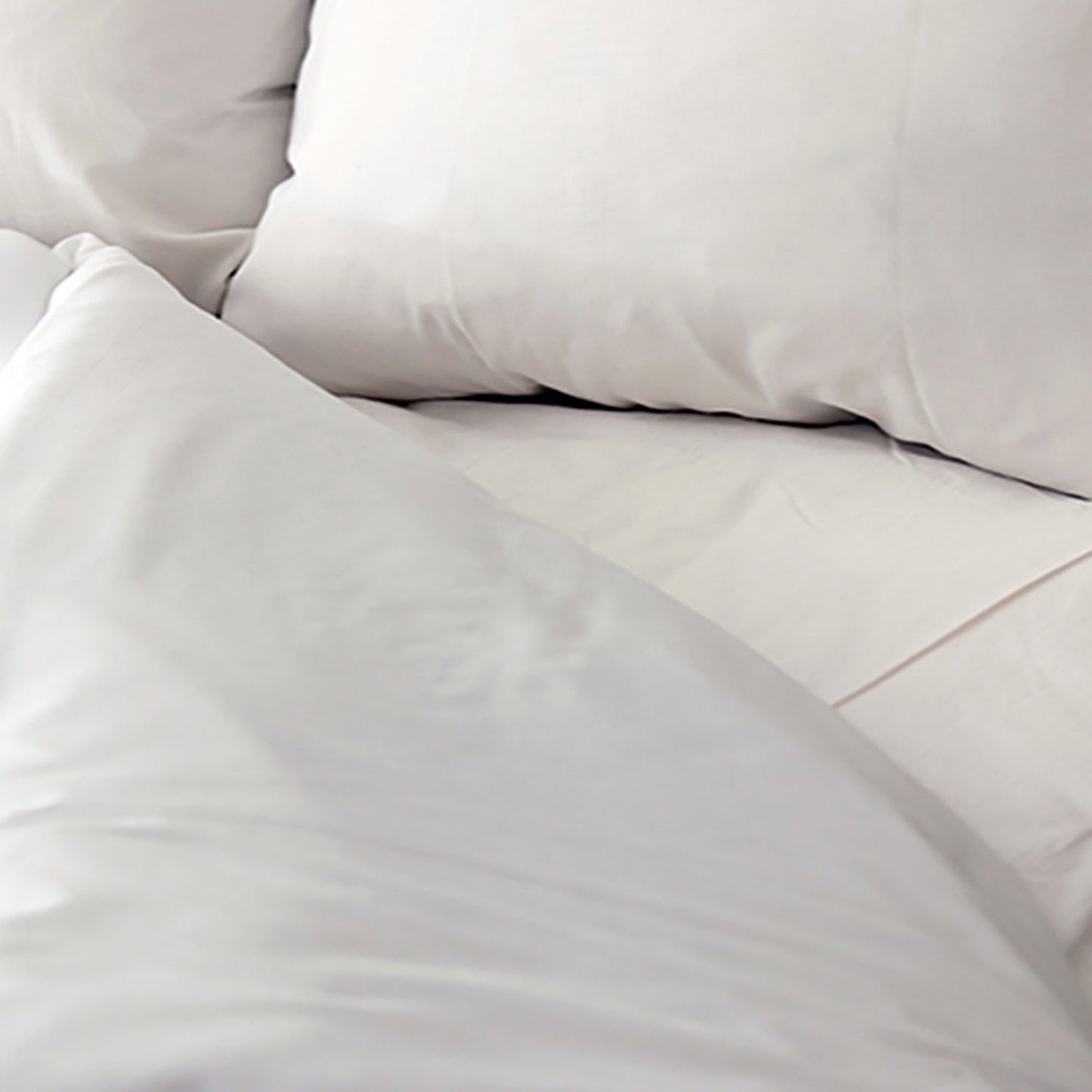 Royal Blue Intl Bed Sheet Fitted 36 X 84 Inch White Reusable (1123376_DZ)