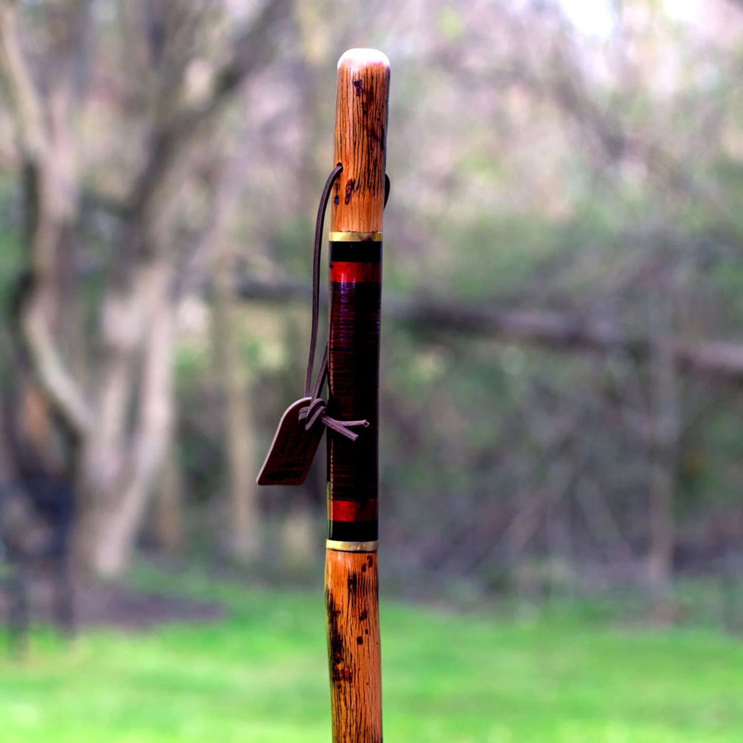 Brazos™ Free Form Walking Stick Wood 55 Inch Height Safari (1229071_EA)