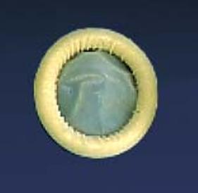 Ultra Cover™ Ultrasound Probe Cover 2 X 7-1/10 Inch Latex NonSterile Rolled (211078_BX)