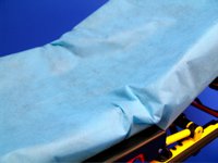 SureFit™ Stretcher Sheet Fitted 34 X 90 Inch Light Blue Nonwoven Polypropylene Disposable (743028_CS)