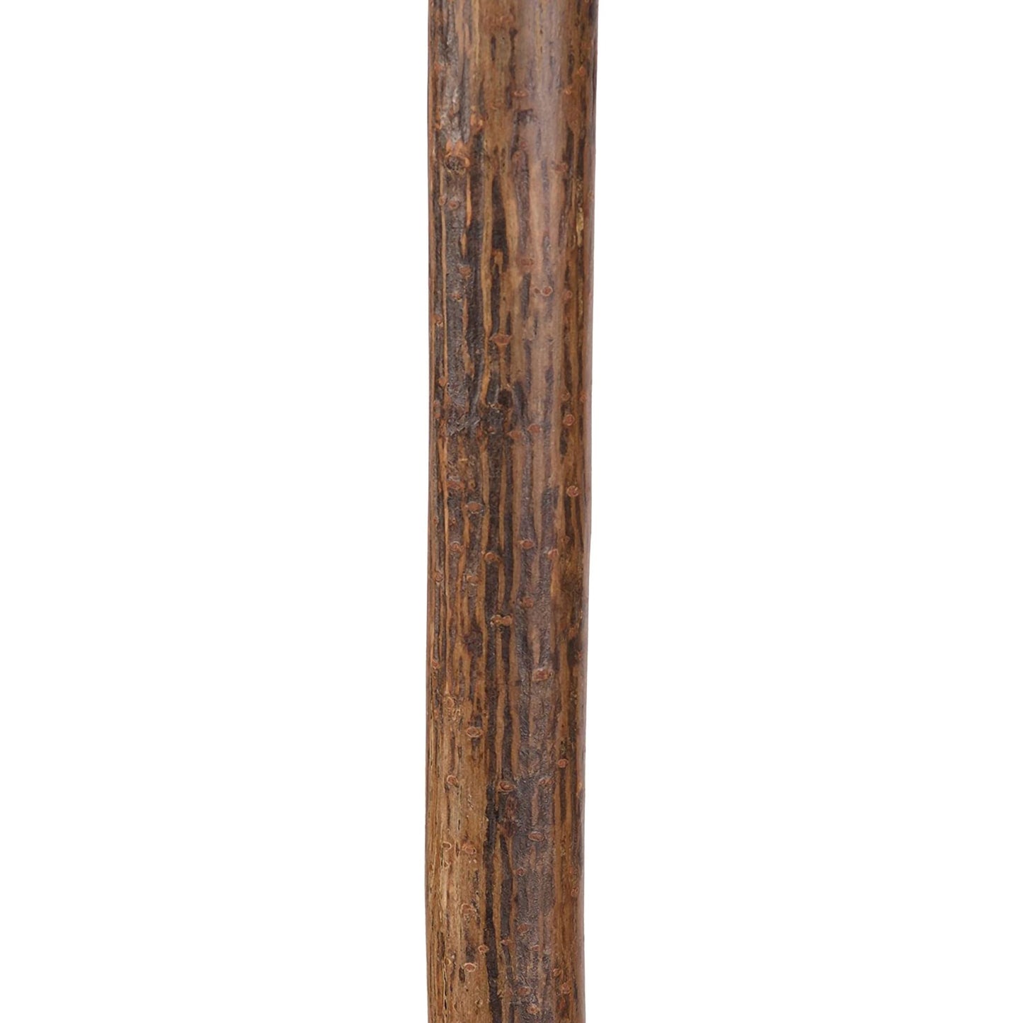 Brazos™ Root Walking Stick Wood 40 Inch Height Natural Hardwood (1229009_EA)