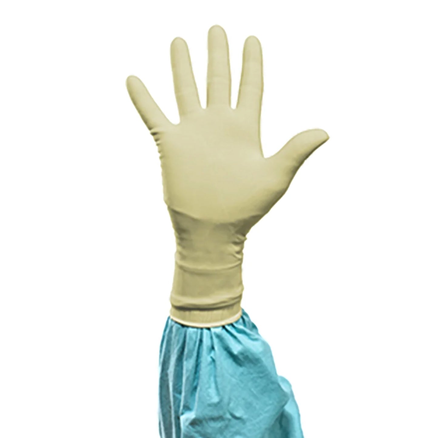 Biogel® PI Surgical Glove Size 8 Sterile Polyisoprene Standard Cuff Length Micro-Textured Ivory Chemo Tested (1129977_BX)